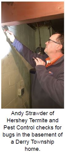 Andy Strawder of Hershey Termite & Pest Control checks for bugs in the basement of a Derry Township home.