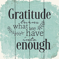gratitude turns what we have into enough